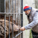 Medvědí vánoce v Českém Krumlově 2023, Schwarzenberská granátnická garda, Foto/zdroj: Lubor Mrázek